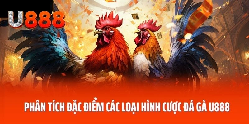 Phân tích đặc điểm các loại hình cược đá gà U888