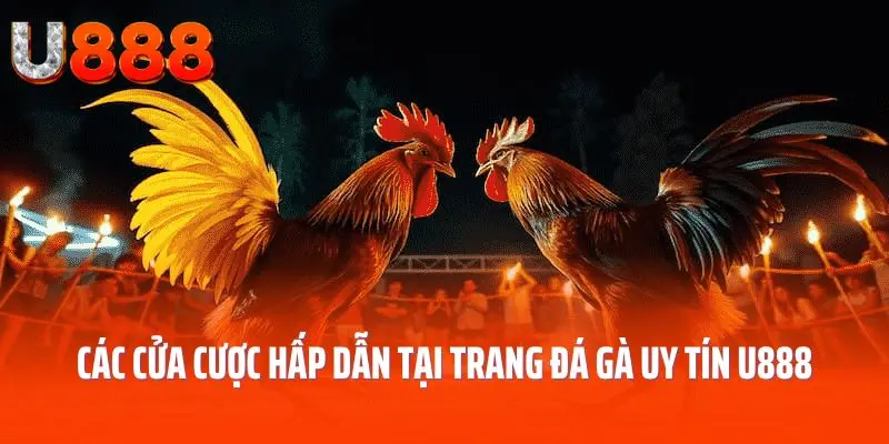 Các cửa cược hấp dẫn tại trang đá gà uy tín U888