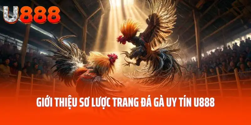 Giới thiệu sơ lược trang đá gà uy tín U888